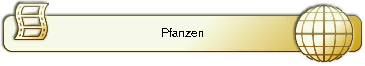 Pfanzen