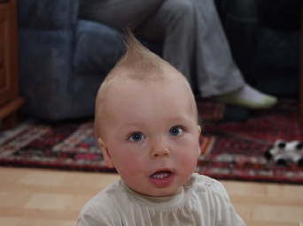  Toller Look.